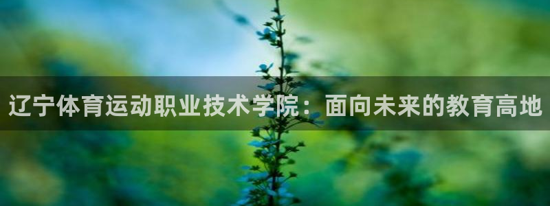 JJB竞技宝官网下载是干嘛的公司：辽宁体育运动职业技