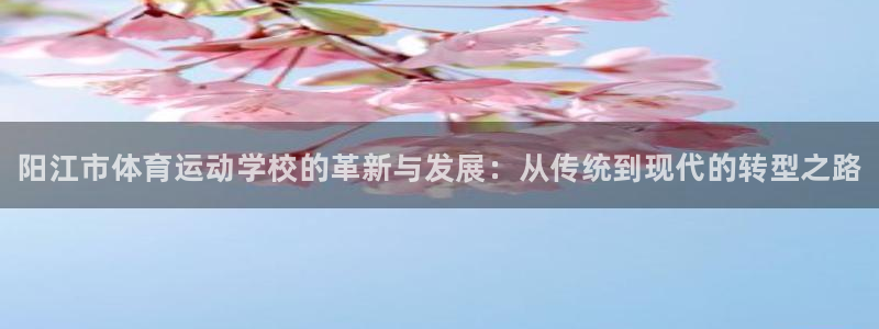 JJB竞技宝官方正版app代理：阳江市体育运动学校的
