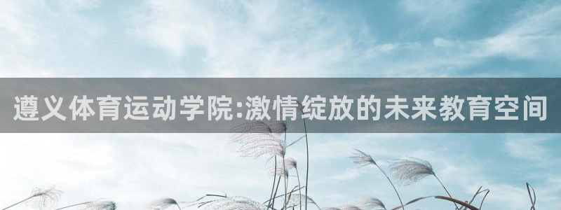 JJB竞技宝官方正版app新能源：遵义体育运动学院: