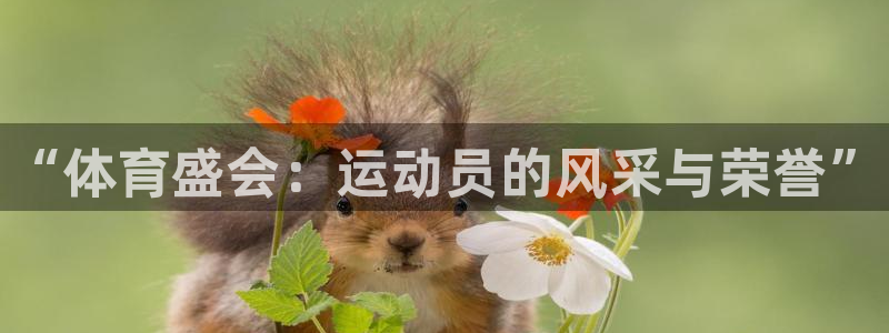 海南JJB竞技宝官网下载发展怎么样：“体育盛会：运动
