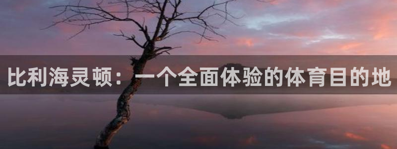JJB竞技宝官网下载招商电话号码：比利海灵顿：一个全