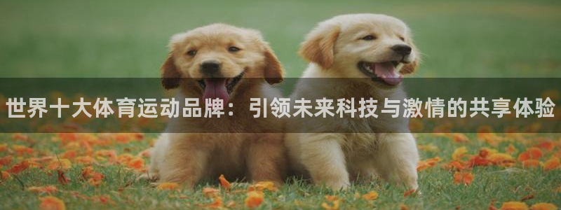 JJB竞技宝官网下载：世界十大体育运动品牌：引领未来