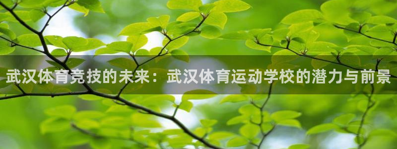JJB竞技宝官网下载平台注册流程视频：武汉体育竞技的