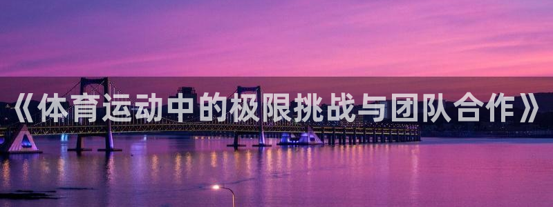 JJB竞技宝官网下载平台注册流程图：《体育运动中的极