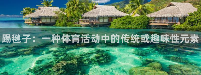 JJB竞技宝官方正版app集团：踢毽子：一种体育活动