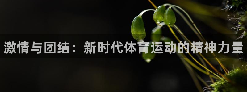 JJB竞技宝官方正版app新能源：激情与团结：新时代