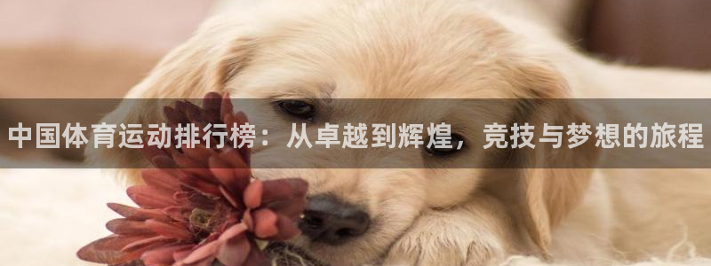 JJB竞技宝官网下载联系电话