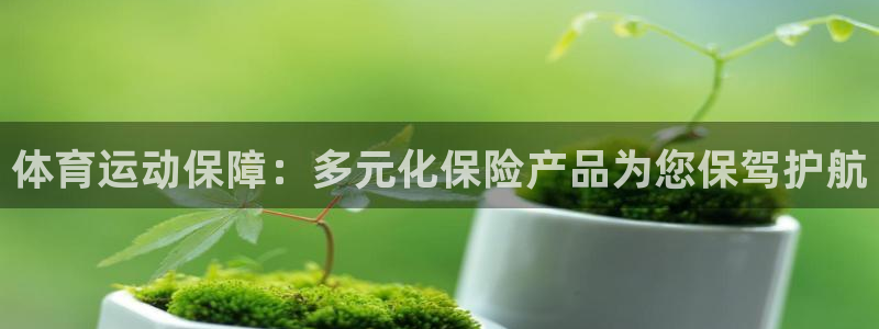 JJB竞技宝官网下载是干嘛的公司：体育运动保障：多元化保险产