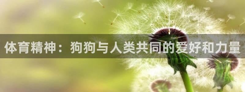 JJB竞技宝官网下载招商电话号码
