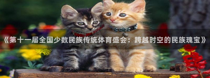 JJB竞技宝官方正版app娱乐代理怎么样：《第十一届全国少数