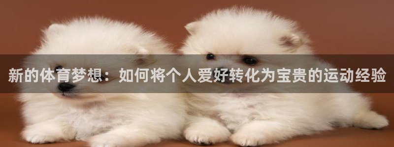 JJB竞技宝官网下载招商：新的体育梦想：如何将个人爱好转化为