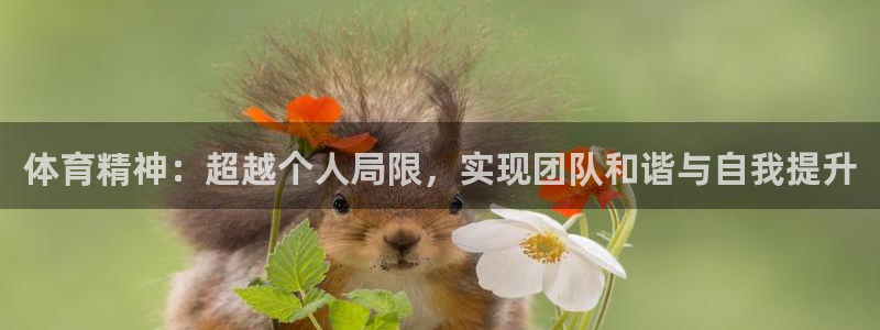 JJB竞技宝官网下载平台：体育精神：超越个人局限，实现团队和