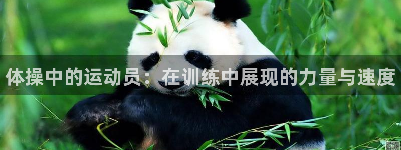 JJB竞技宝官网下载招商电话：体操中的运动员：在训练