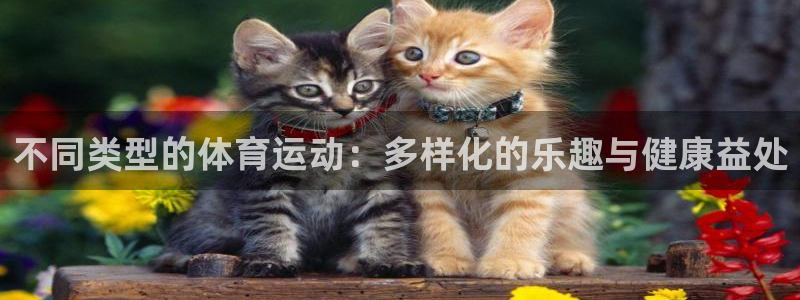 JJB竞技宝官网下载招商电话号码是多少啊：不同类型的