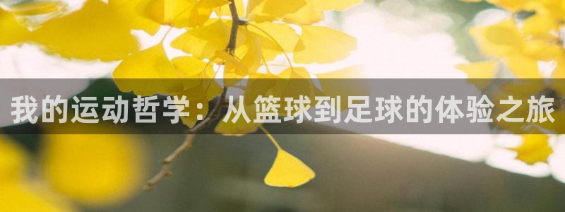 JJB竞技宝官方正版app娱乐是那个系列的台子：我的运动哲学