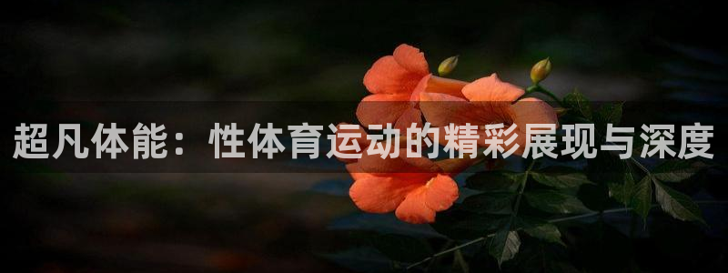 JJB竞技宝官方正版app娱乐首页网站大全：超凡体能：性体育