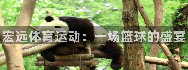 JJB竞技宝官方正版app集团：宏远体育运动：一场篮