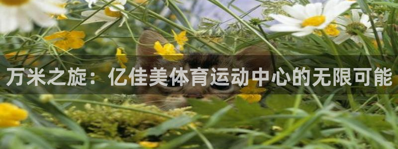JJB竞技宝官网下载招商电话号码：万米之旋：亿佳美体育运动中