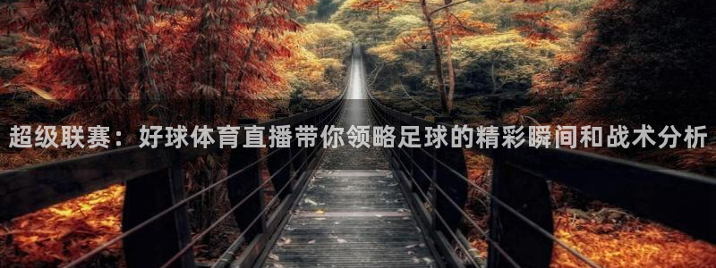 jrs乐球直播免费高清观看：超级联赛：好球体育直播带你领略足球的精彩瞬间和战术分析