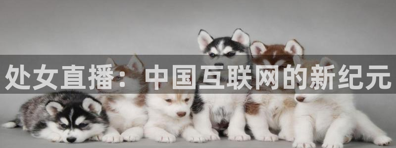 乐球足球直播免费观看：处女直播：中国互联网的新纪元