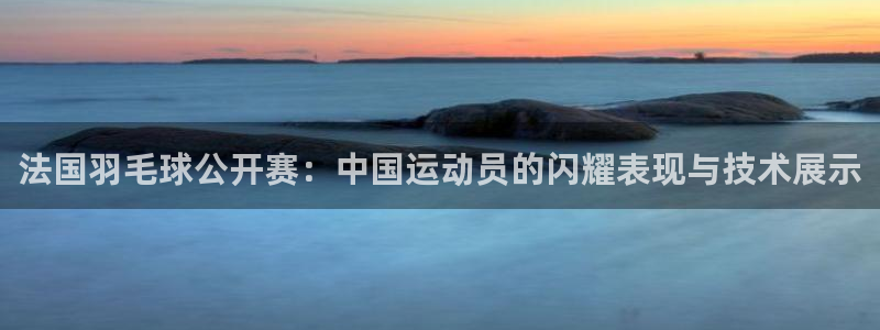 乐球直播无插件免费直播：法国羽毛球公开赛：中国运动员的闪耀表现与技术展示