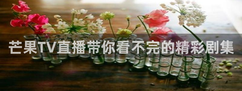 乐球直播最新版：芒果TV直播带你看不完的精彩剧集