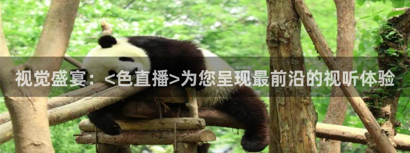 nba乐球直播免费观看直播在线：视觉盛宴：<色直播>为您呈现最前沿的视听体验