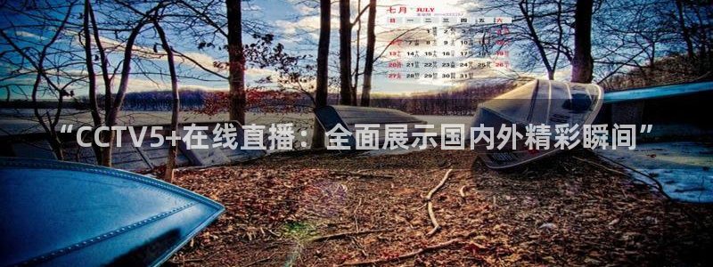 乐球直播nba在线观看