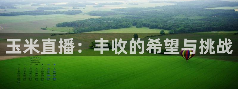乐球直播免费观看nba直播