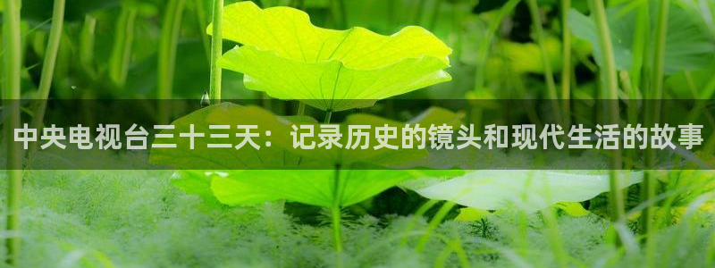 乐球吧jrs免费直播：中央电视台三十三天：记录历史的镜头和现代生活的故事