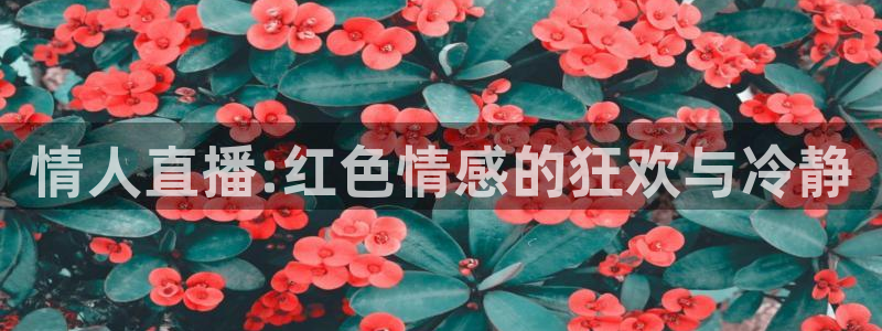 乐球直播app免费版：情人直播:红色情感的狂欢与冷静